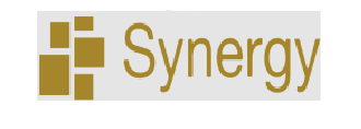 synergy_logoweb